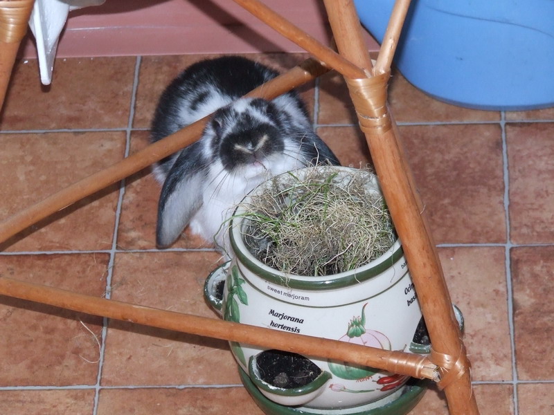 DSCF4035.jpg