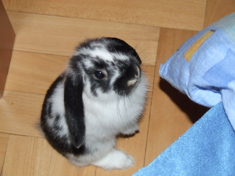 DSCF4039.jpg